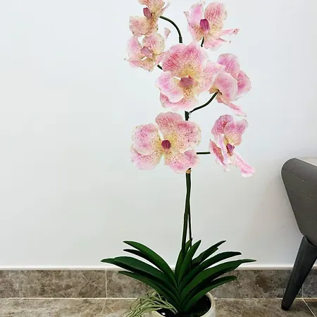R&F Princess Cove Superior Homestay Nearby Ciq By Han Lin Sojourn Johor Bahru Exterior photo