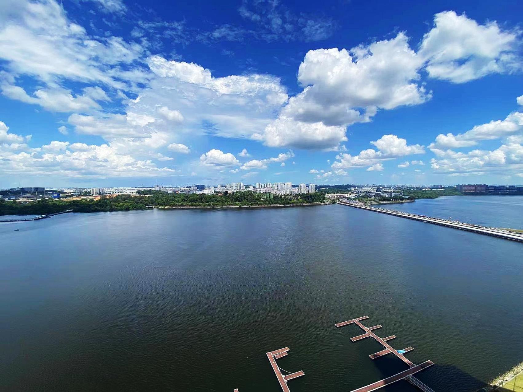 R&f Princess Cove Superior Nearby Ciq By Lin Sojourn Apartment